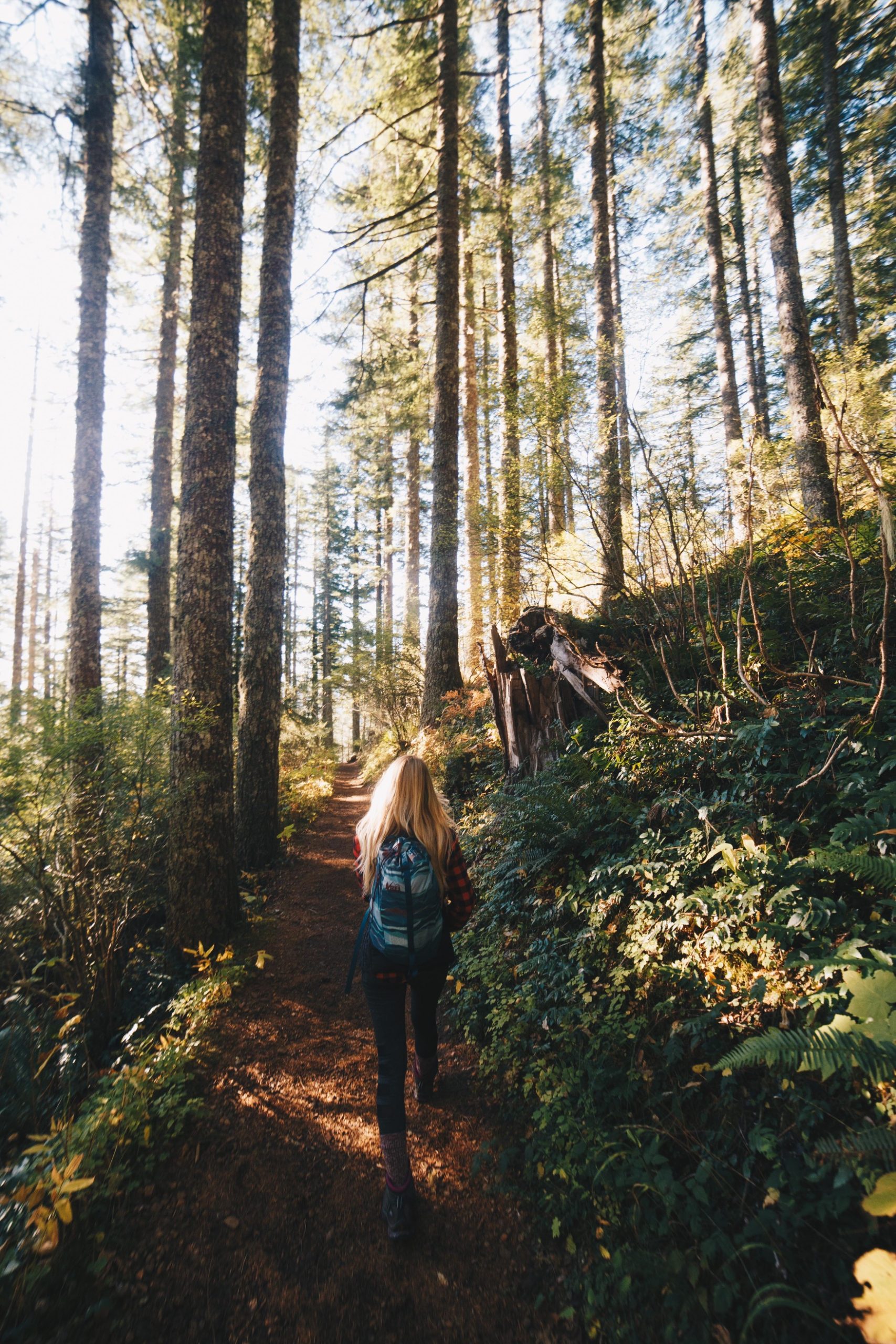 My Backpacking Packing List: a complete guide » Miss Rover